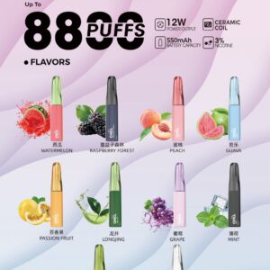 11月新品 CHILL拋棄式8800口 高續航可充電 | 穩定輸出&頂級口感（滿十送一）