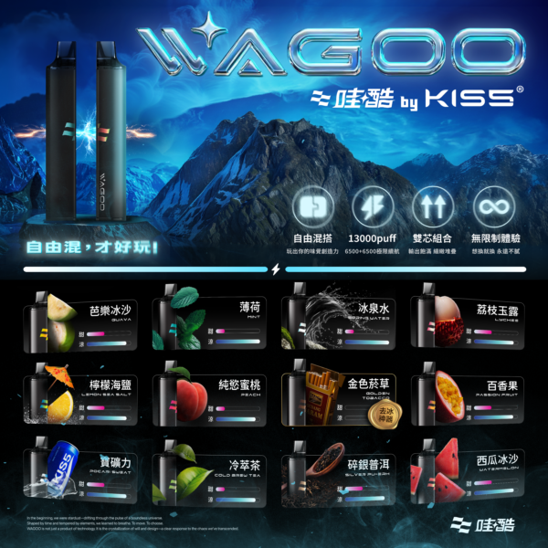 新品💥 WAGOO哇酷拋棄式6500口 by KIS5 磁吸組合 自由混搭 限時活動/滿十送一